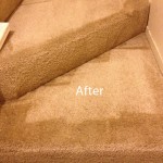Stairs-Carpet-Cleaning-Union-City-B