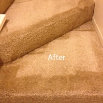 stairs carpet cleaners union city