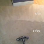 Steam-Carpet-Cleaning-Union-City