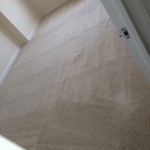 Union-City-Carpet-Clean-room