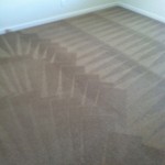 Union-City-Carpet-Cleaning-Wall-To-Wall