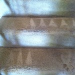 Union-City-Stairs-Carpet-Cleaning