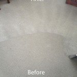 Wall-To-Wall-Carpet-Cleaning-Union-City