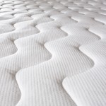 mattress cleaning business Union City